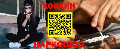 шишки Тара