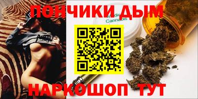 шишки Тара