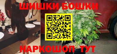 шишки Тара