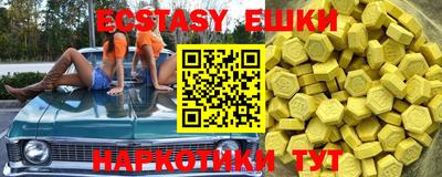 шишки Тара
