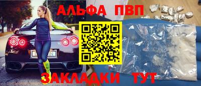 шишки Тара