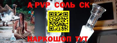 шишки Тара