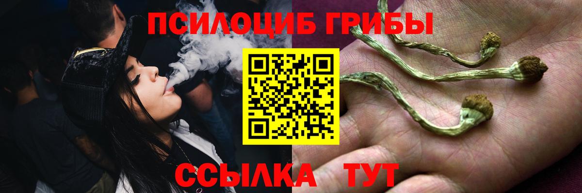 купить наркотик  Вход с VPN  Нефтекамск  Галлюциногенные грибы Psilocybine cubensis  Псилоцибиновые грибы Psilocybe 